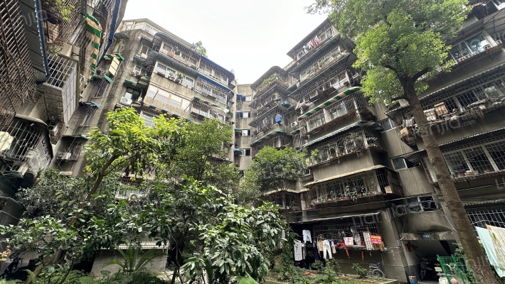 一环路西二段17号外景图