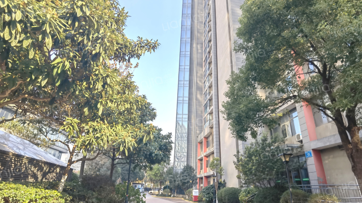 摩卡国际外景图