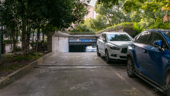 都林龙苑外景图