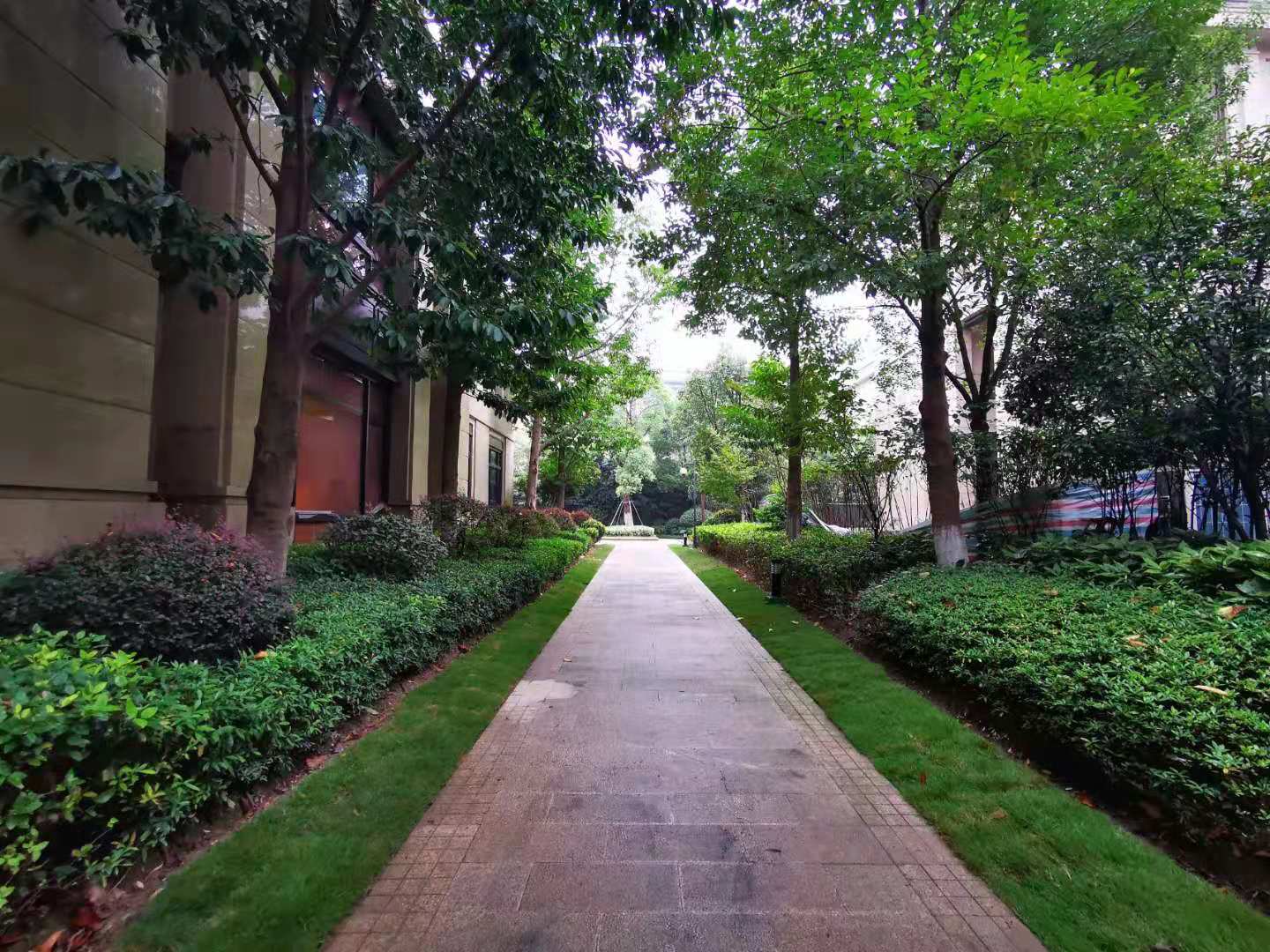 Zhijiang Jiuli compound photo 12