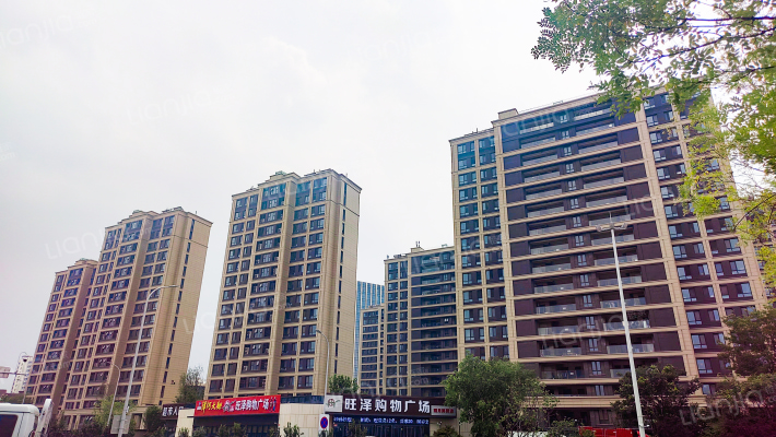 绿城明月风荷外景图