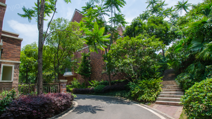 维多利亚C区外景图