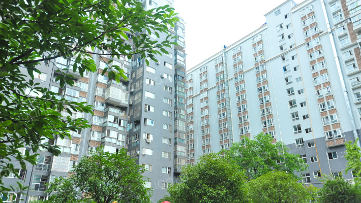 1958青年公馆外景图