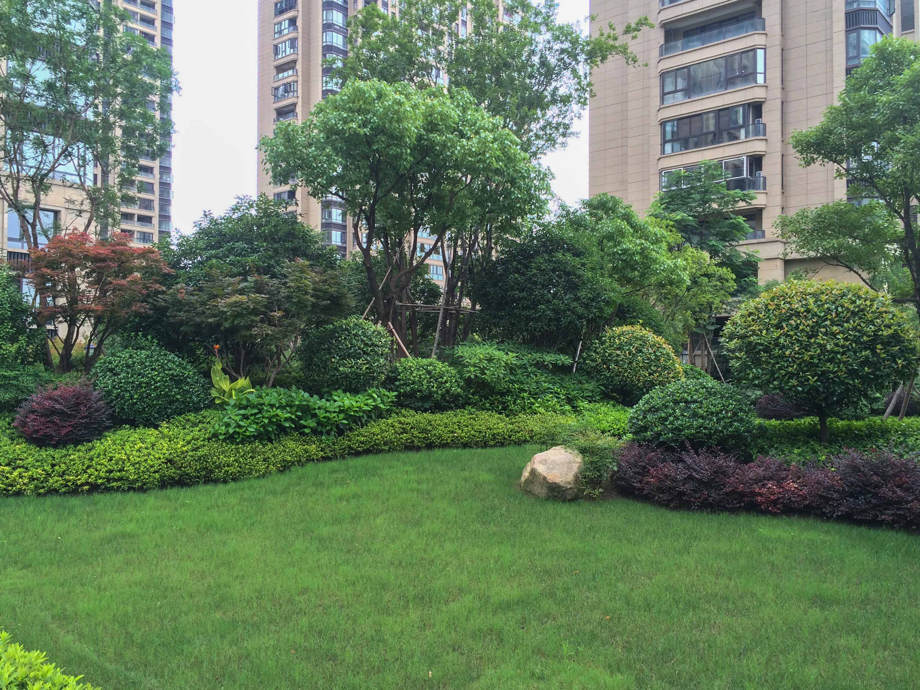 龙湖春江彼岸小区实景 12