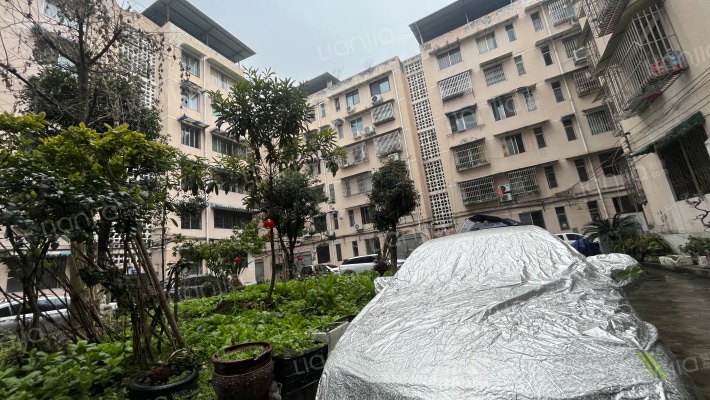 小金县林业局干休所外景图