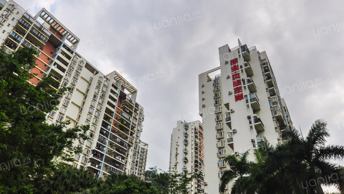 风临左岸外景图