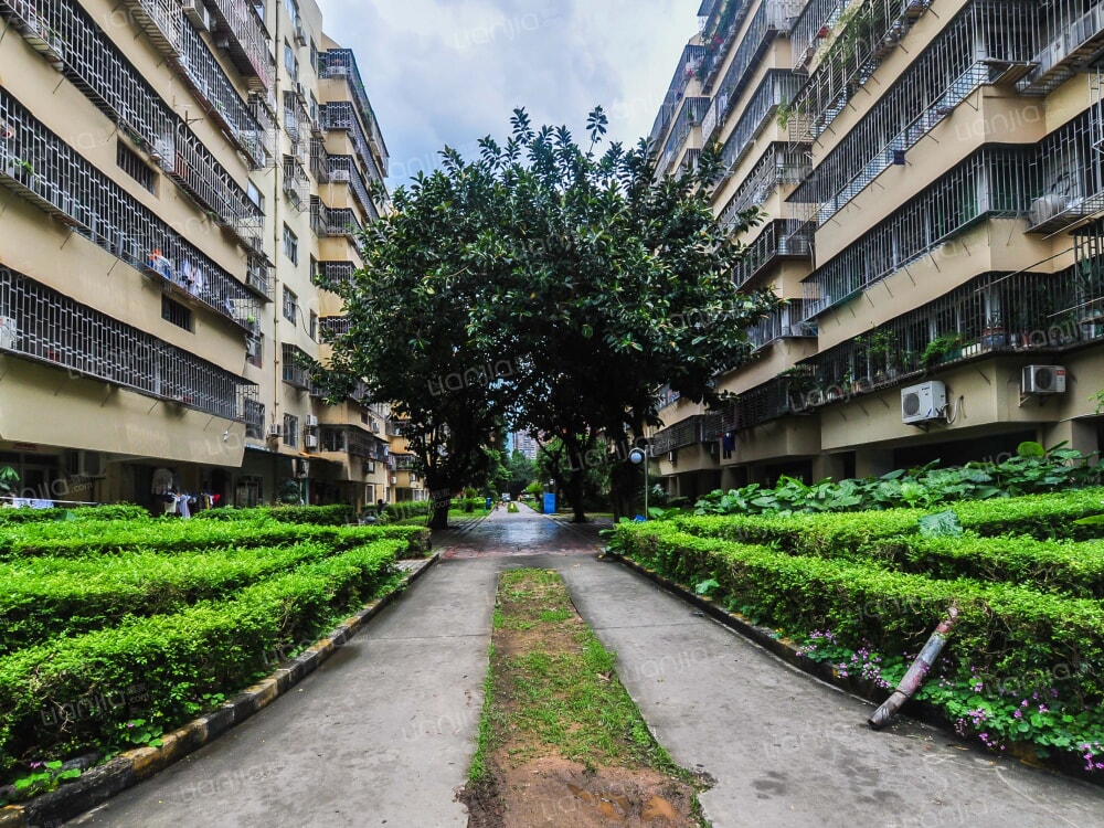 荔园新村杜鹃山西街