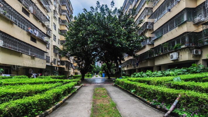 荔园新村(杜鹃山西街)外景图