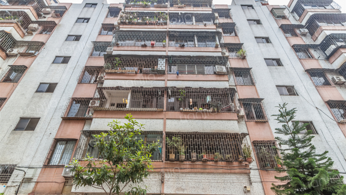 桃苑新村外景图