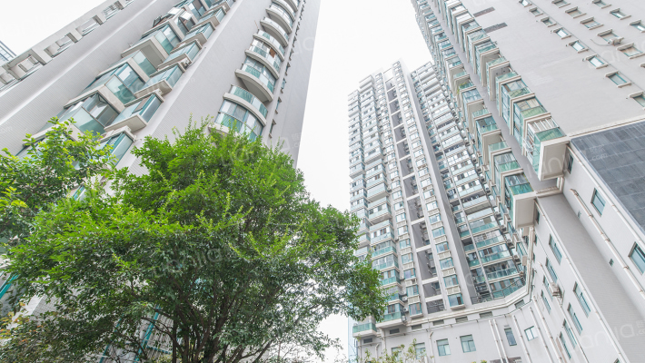 新华明珠外景图