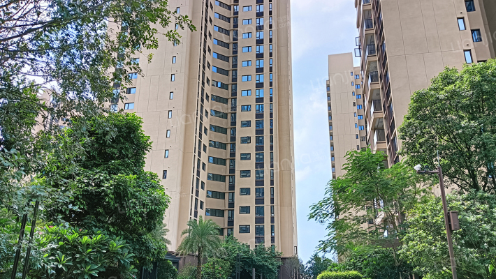 湖心明荟外景图