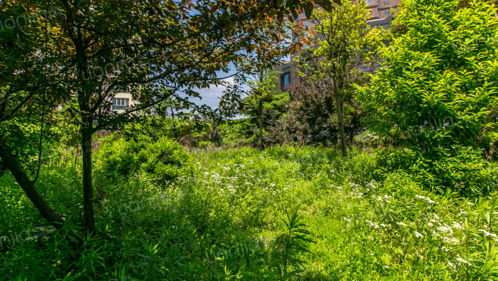碧海现代苑外景图
