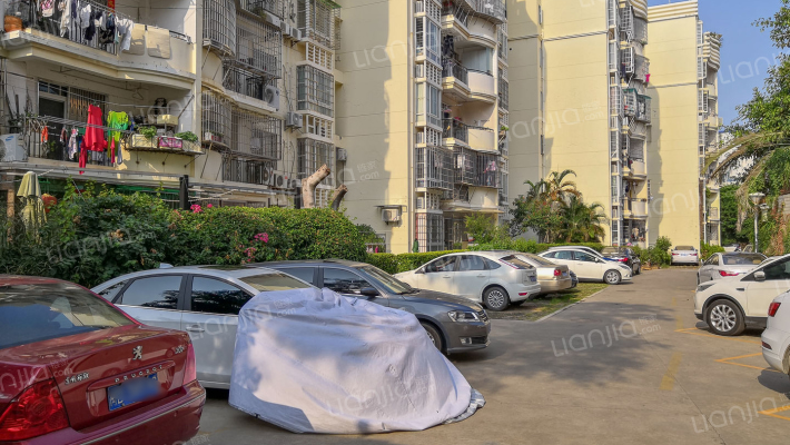 锦绣金山外景图