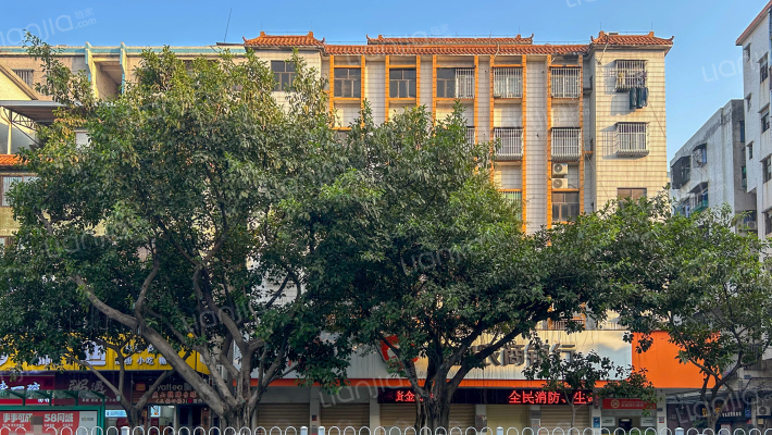 跃华路495号外景图