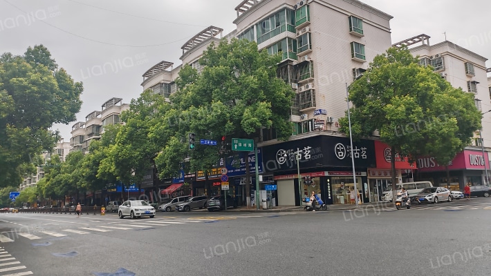 中南汽车世界外景图