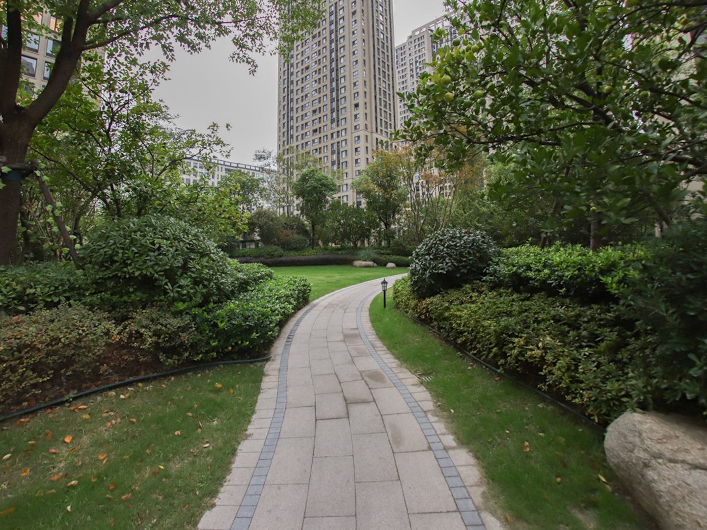 金辰之光小区实景 23