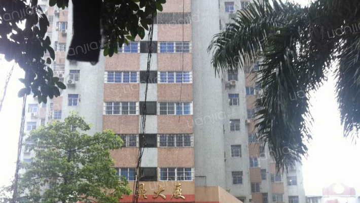 金鼎大厦外景图