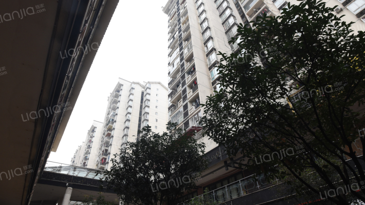 天生丽街外景图