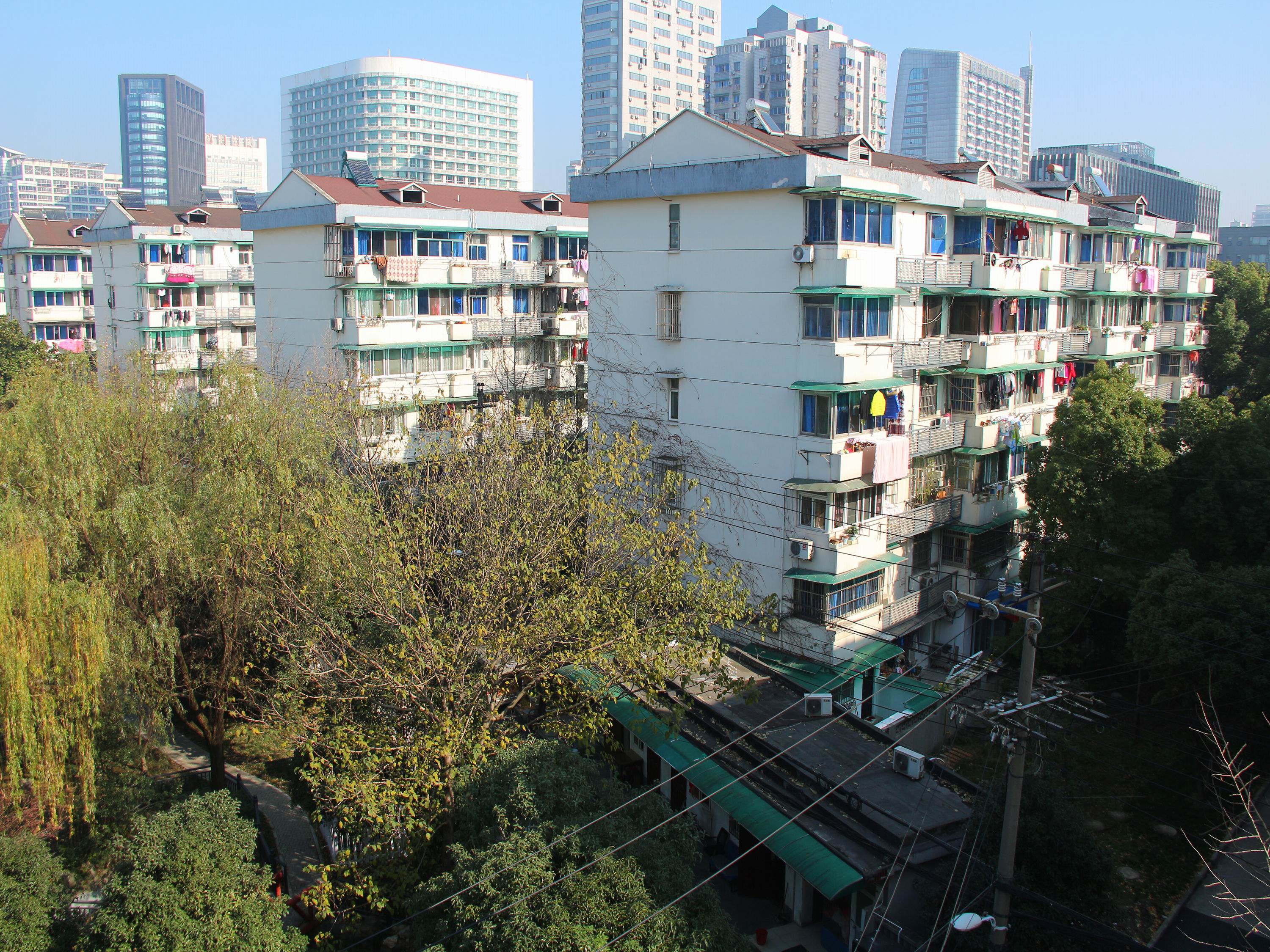 古荡新村东区小区实景 5