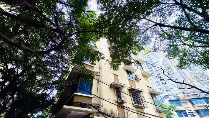 石小路171号外景图