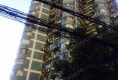 东晖花苑户型图实景图