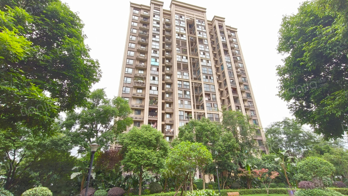 金科星辰外景图