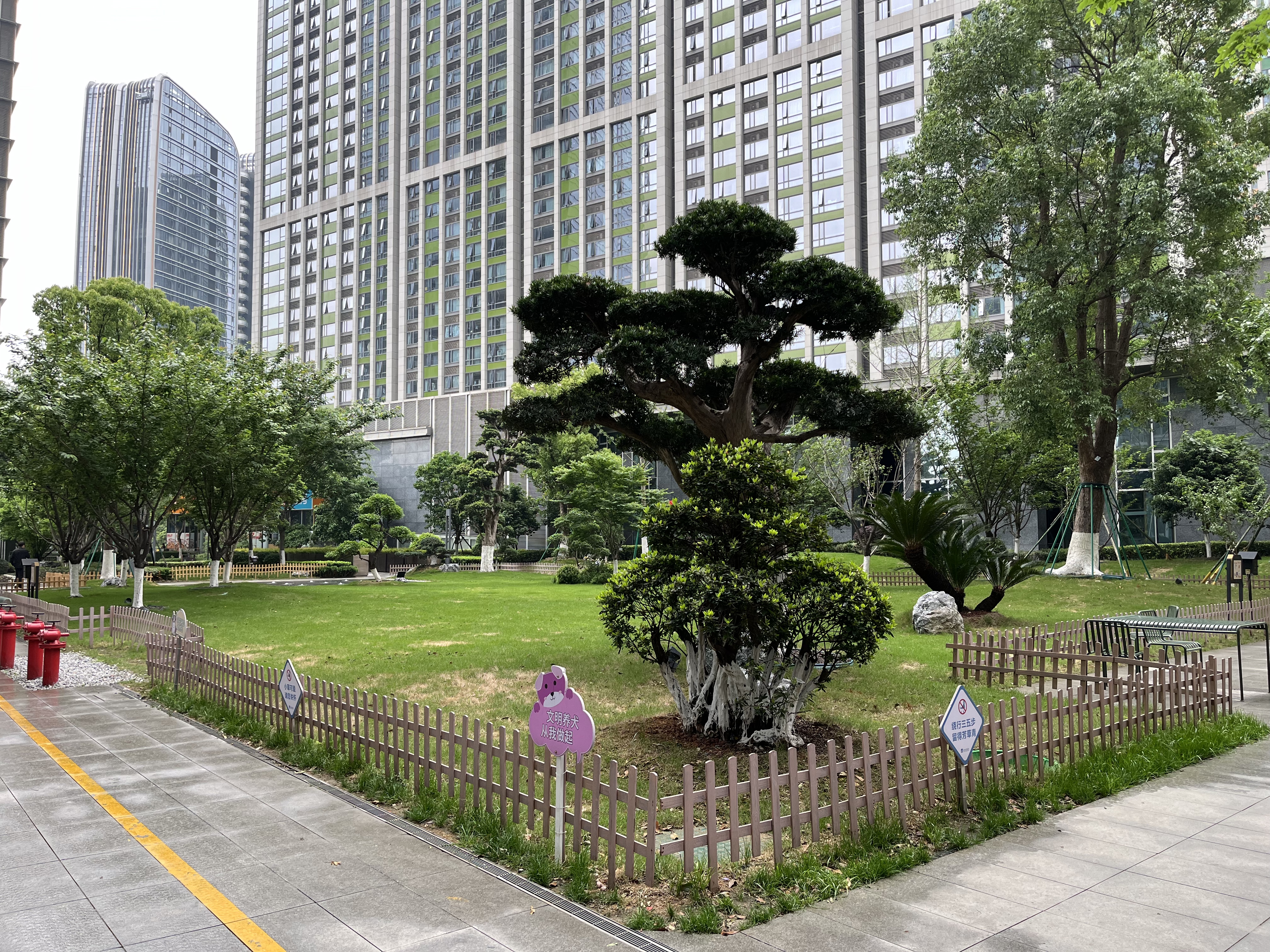 Dark Blue International Center compound photo 5