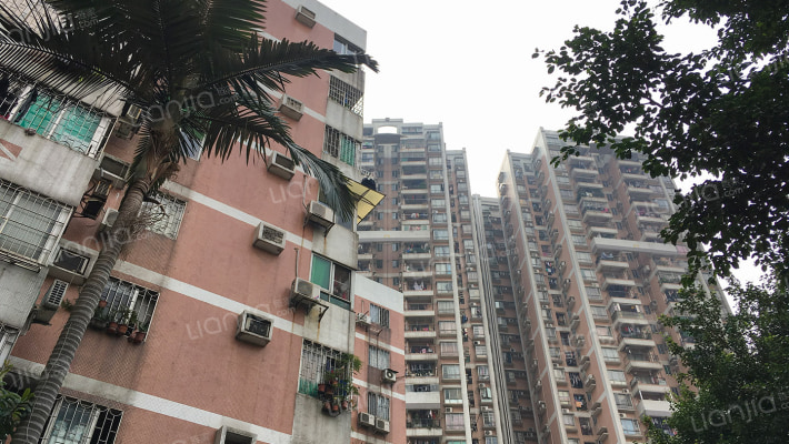 广州富力新居房源|户型图|小区车位|交通地址详情分析
