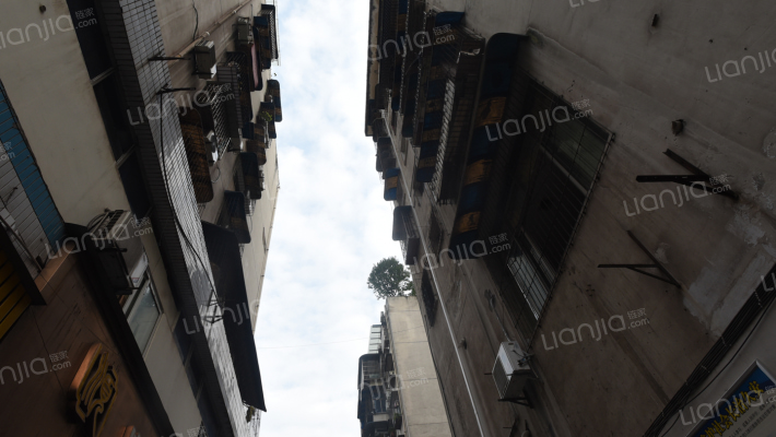 龙康街166号外景图