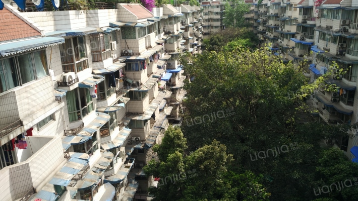 金桔花园二期南苑外景图