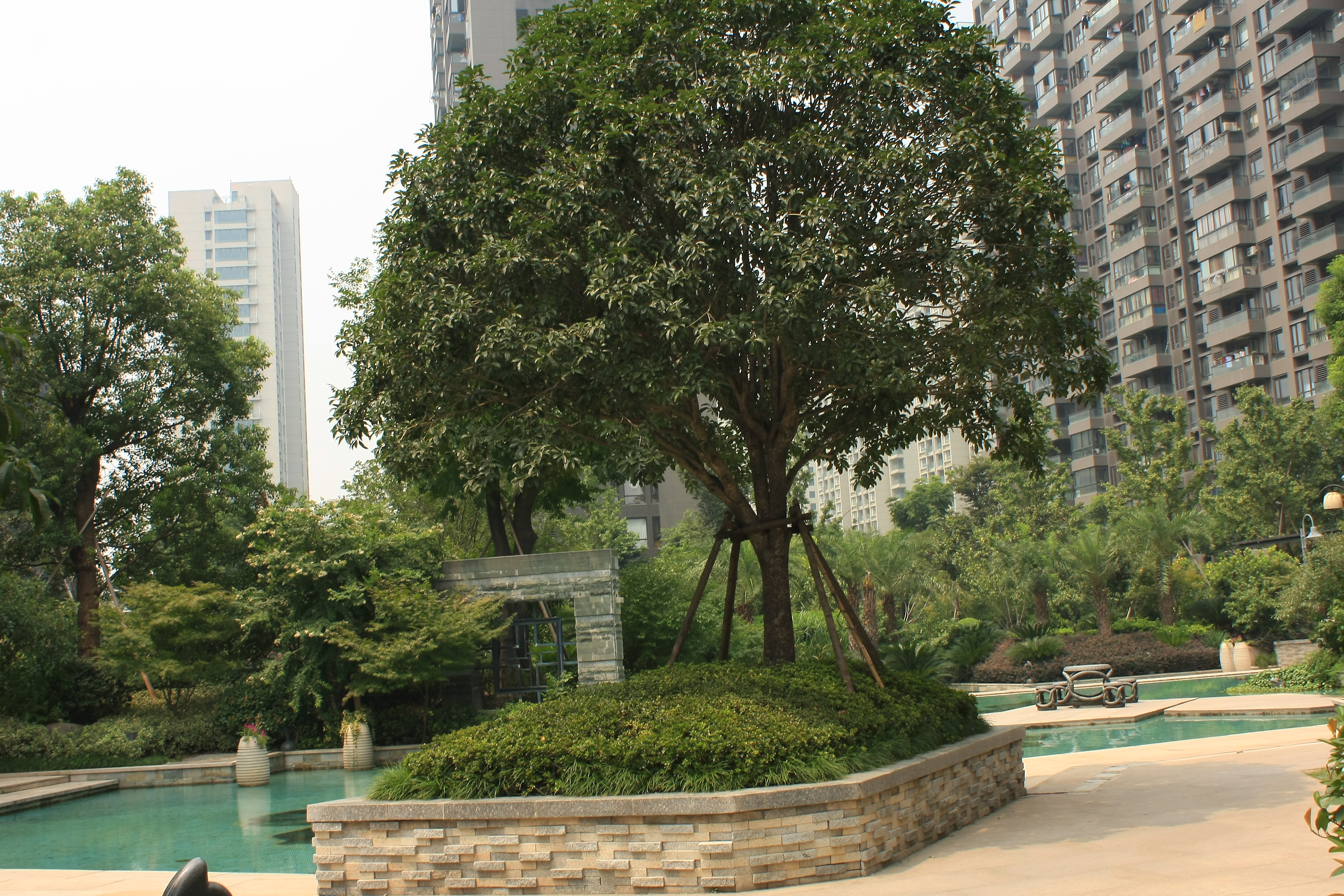 凯德视界小区实景 22