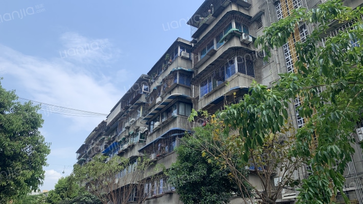 天星花园外景图