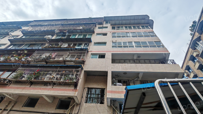 金山商业街32号外景图