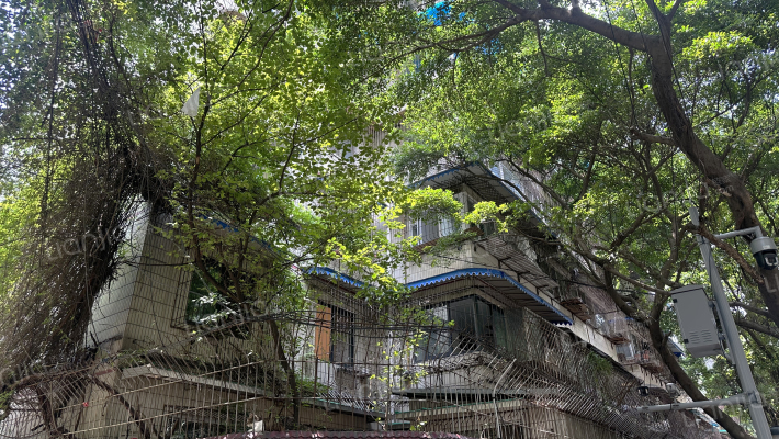 小天西巷3号外景图