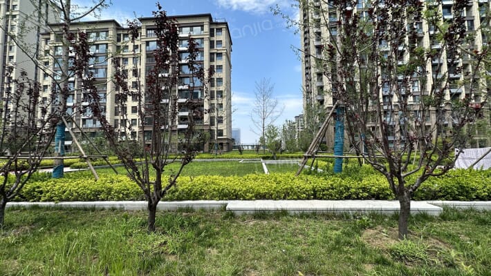 天泰山海印象外景图