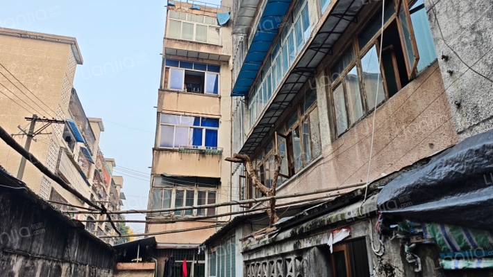 崇庆中路东三巷1号外景图