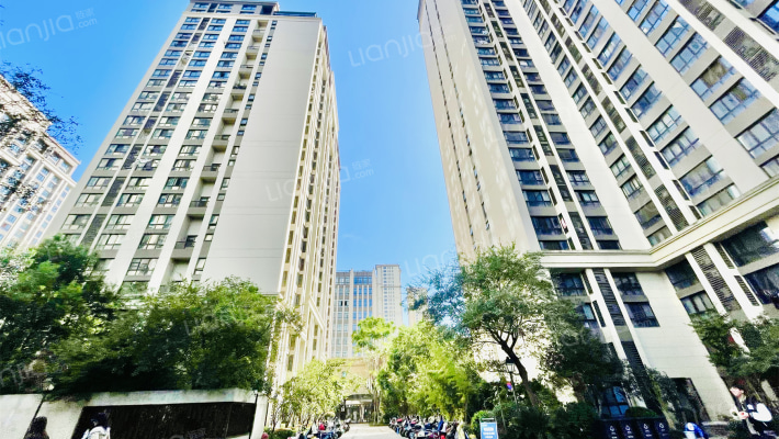 红星大都汇外景图