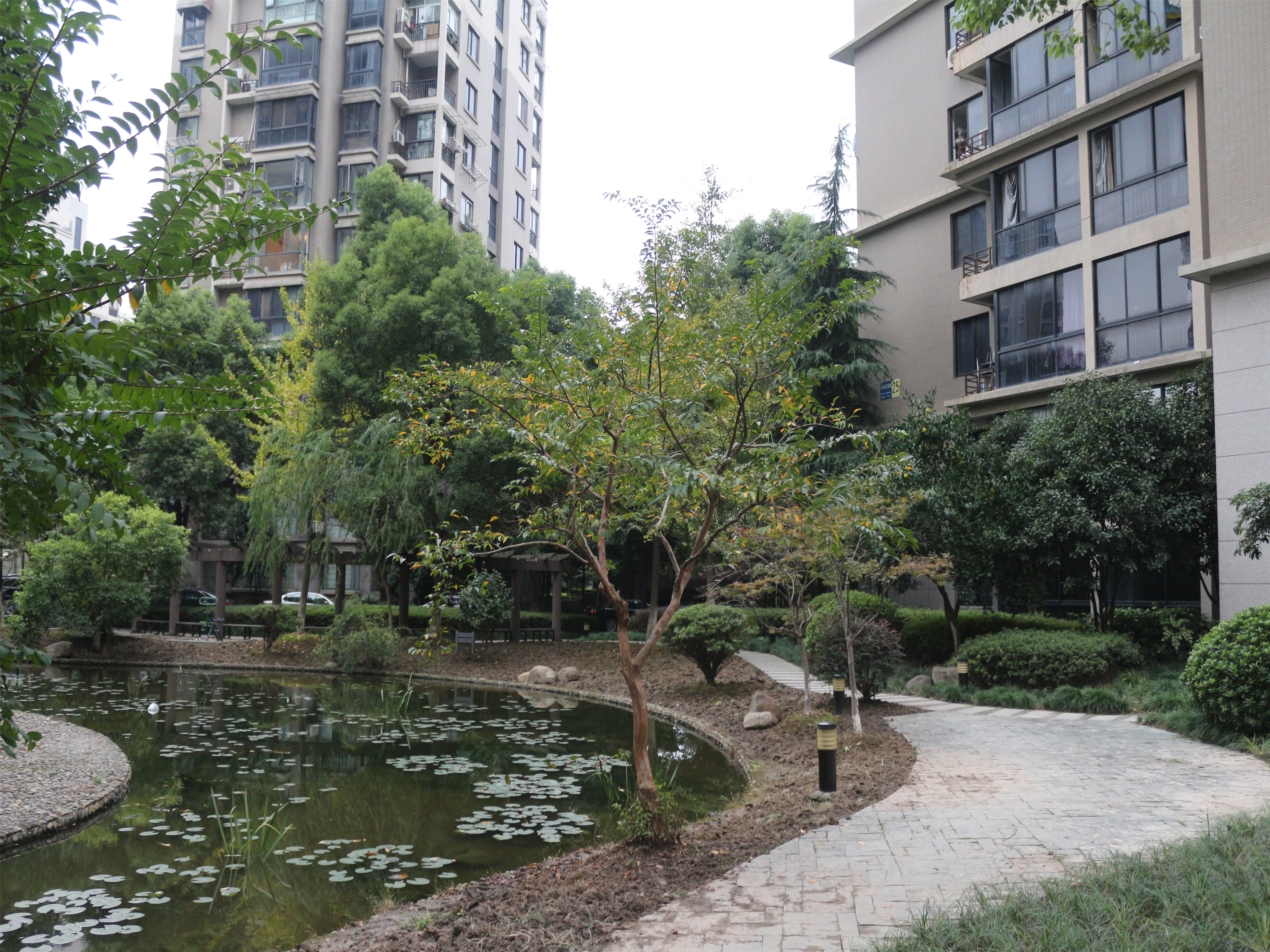 Linjiang Garden compound photo 30
