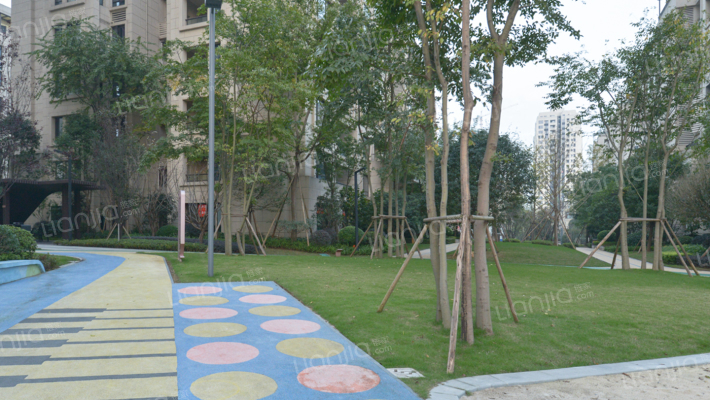 鲁能泰山7号十二街区外景图