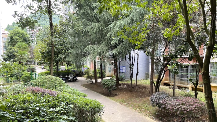 倾国倾城外景图