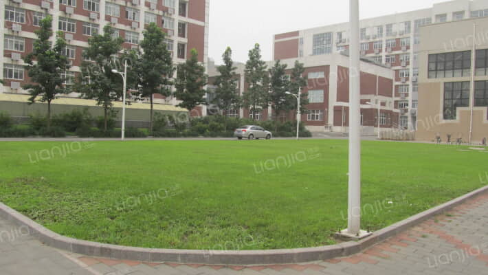 中国农业大学家属院外景图