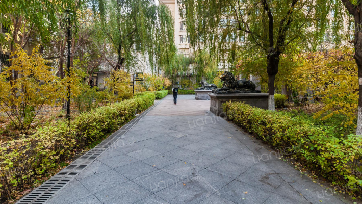 宝宇荣耀上城外景图