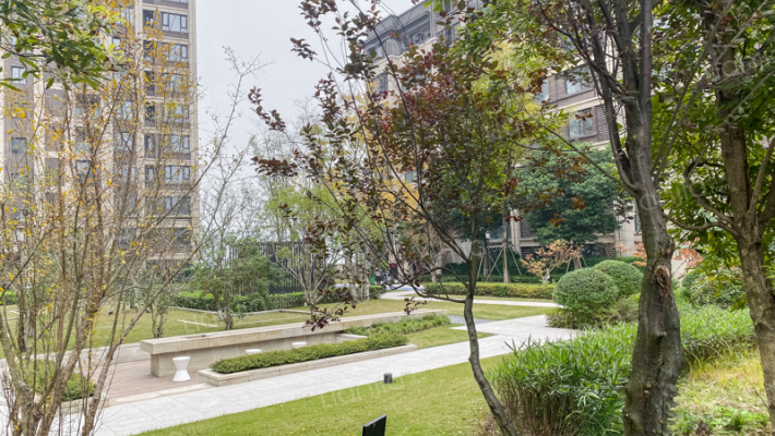 金科御临河星空外景图