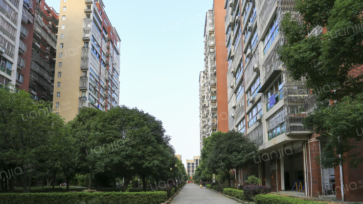 江临天下外景图