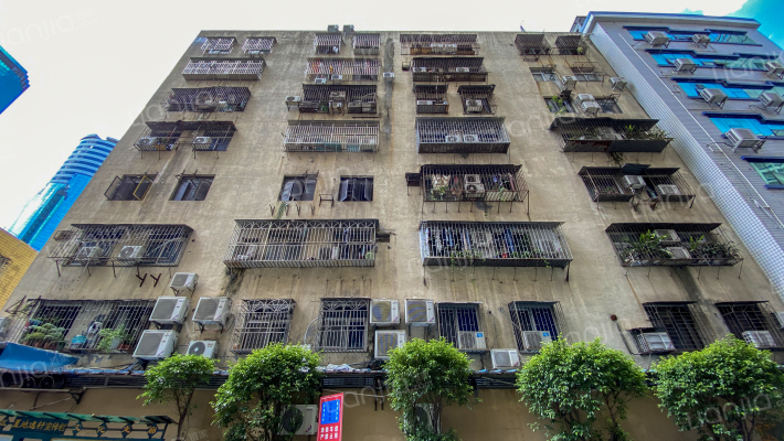 南湖路2013号外景图