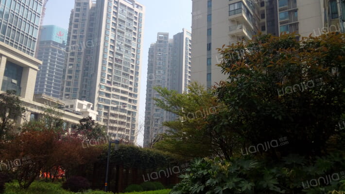 东湖春树里外景图