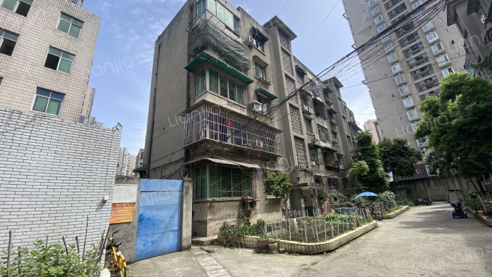 东环路四巷233号外景图