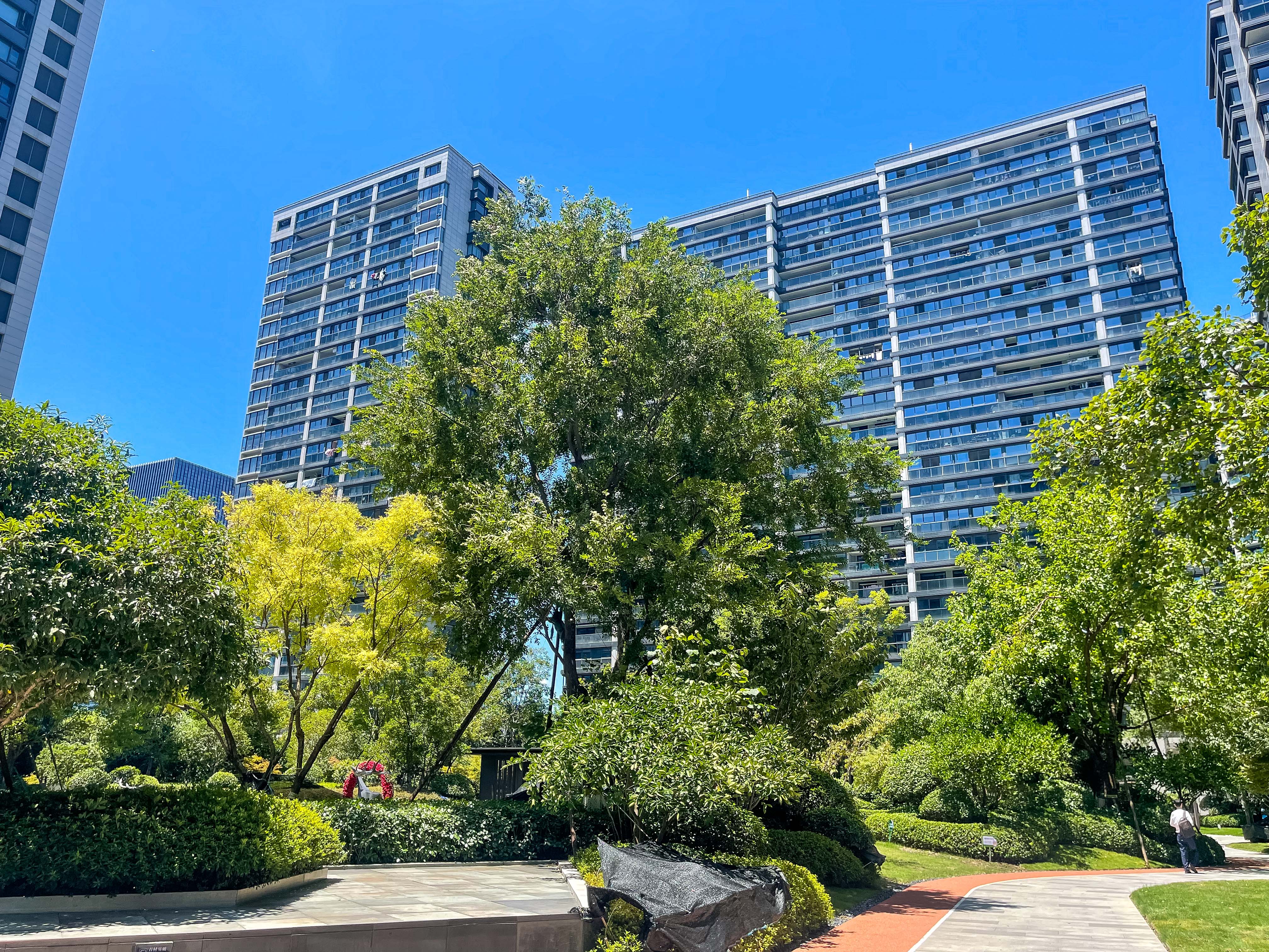 阳光城文澜府小区实景 18