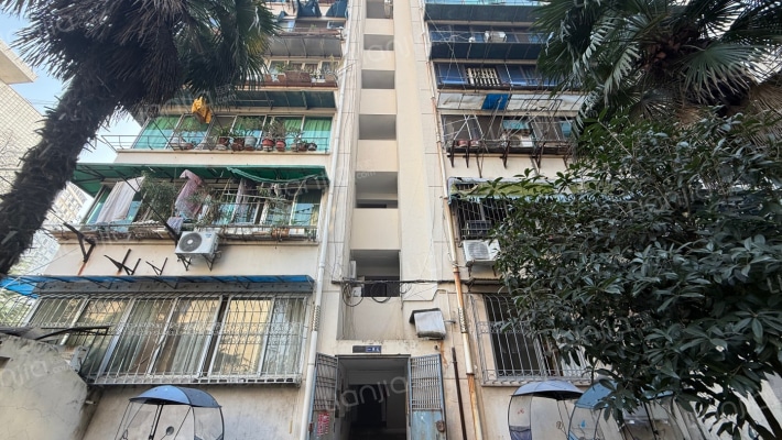 大弯南路166号外景图