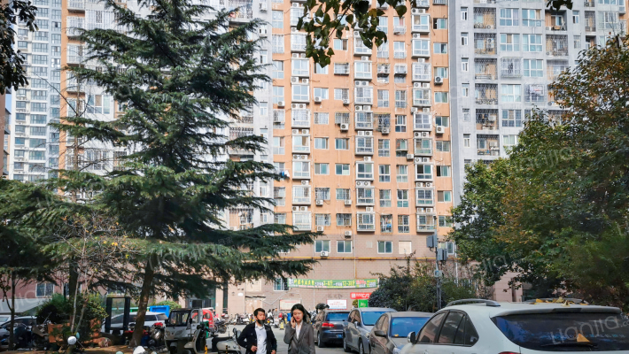 明天花园外景图